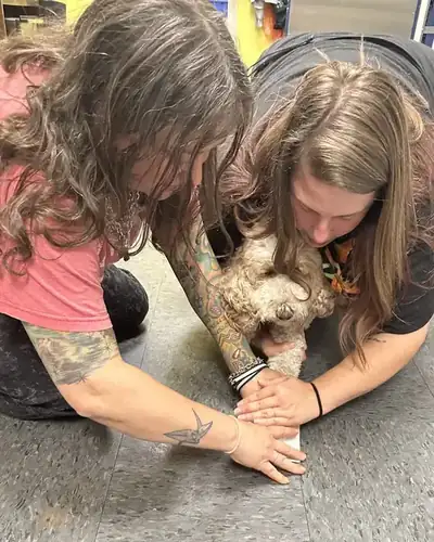One Lucky Pup team members caring for a dog together