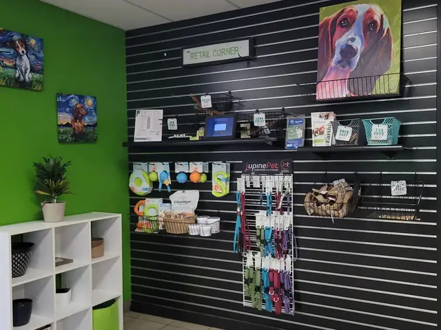 Retail display with dog treats, toys, collars, leashes, and accessories at One Lucky Pup Charlotte