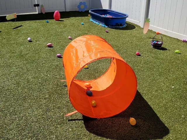 Seasonal enrichment setup with a play tunnel, pool, and toys in the One Lucky Pup Charlotte yard