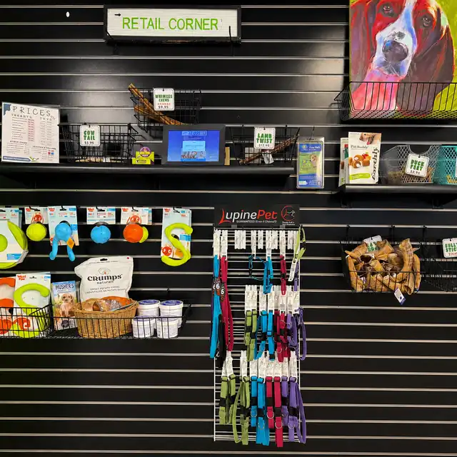 Retail display with dog treats, toys, collars, leashes, and accessories at One Lucky Pup